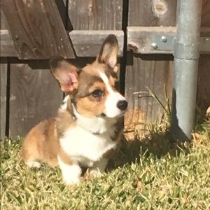 Meet your Posher, Grant